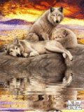 Animals_104_.gif