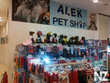 CAM00431.jpg