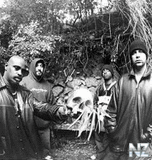 cypress hill.jpg