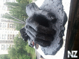IMG_20130623_091830.jpg