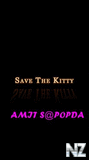 Save The Kitty v1.01(0).sis
