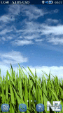 Grass BlueIcons.sisx