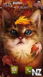 Cat and autumn by Galina53.sis