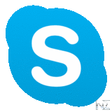 Skype v5.3.0.65246.apk