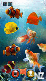 Fish Tank HD by Soumya.sisx