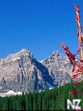 Mountains.swf