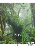 Animate_Forest_Clock.swf