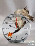 Cat_Fish_Clock.swf