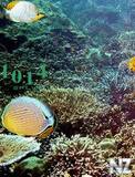 Under_Sea_Clock.swf