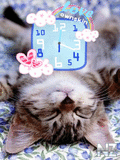 Cat_Love_Clock.swf