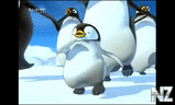 Pigloo_Papa_pinguin_.mp4