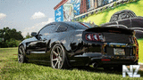 Ford_Mustang_GT_5_0.jpg