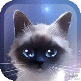 Siamese Cat v1.1.3.apk