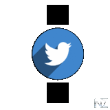 Tweets on Wear v1.5.apk