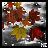 Rain PRO live wallpaper v2.0.apk