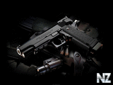 Gun_OPS_MRP_Cal_45.jpg