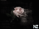 wallpaper_024_1_z140.jpg