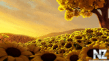 sunflowers_3d_1920x10801142.jpg