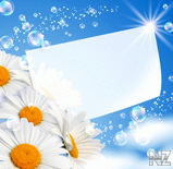 Flower_card_with_bubbles__414.jpg