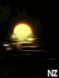 0001521962_nature_05.gif