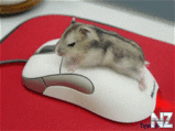045412a6ac87274ae7915d0075bee025_full.gif