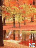 0_0174_310.gif
