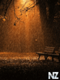 Rain.gif