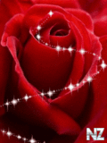 Red_Beauty.gif