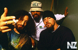 Cypress_Hill_631.jpg