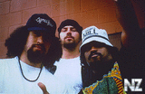 Cypress_Hill_771.jpg