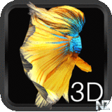 Betta Fish 3D v1.5.0.apk