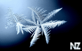 tjm_4_0001637416_tjm_4_.jpg