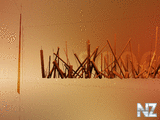 WallpapersMania_vol39_043.jpg