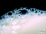 WallpapersMania_vol44_8521.jpg