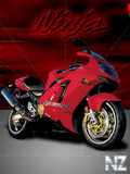 Ninja052.jpg