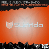 Feel & Alexandra Badoi - Did We Feel (Frainbreeze Progressive)