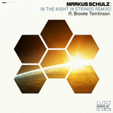 Markus Schulz feat. Brooke Tomlinson - In the Night