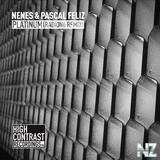 Nenes & Pascal Feliz - Platinum (Radion6 Remix)