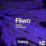 Fliwo - Hypnotize (Original Mix)