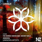 Unknown Artist - The Words I Never Said in D&B (VIP)