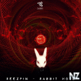 ReeZpin - Rabbit Hole (Original Mix)