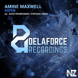 Amine Maxwell - Aspen (Alexey Ryasnyansky Remix)