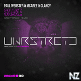 Paul Webster & McAree & Clancy - Snake (Casey Rasch Remix)