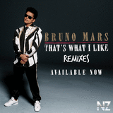 Bruno Mars-That's What I Like (Alan Walker Remix)