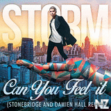 Storm - Can You Feel It (StoneBridge, Damien Hall Remix)