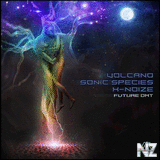 Volcano, Sonic Species & X-NoiZe - Future DMT (Original Mix)