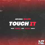 Ariana Grande - Touch It (VetLove & Mike Drozdov Remix)