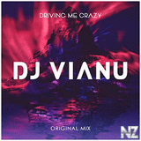 DJ Vianu - Driving Me Crazy (Original Mix)