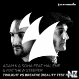 Adam K & Soha feat. HALIENE & Matthew Steeper - Twilight vs Brea