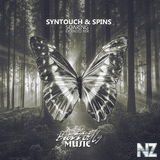 Syntouch & Spins - Soaring (Extended Mix)